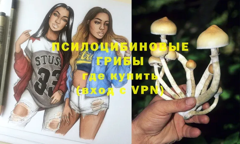 Псилоцибиновые грибы Psilocybine cubensis  Лабинск 